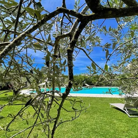 Sole Vino - In Centre Of Italy S Finest Wine And Truffle Areas - Exc Pool Belvedere (Perugia)