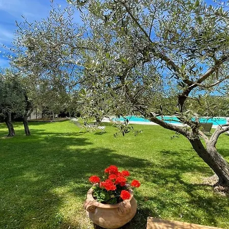 Sole Vino - In Centre Of Italy S Finest Wine And Truffle Areas - Exc Pool 빌라